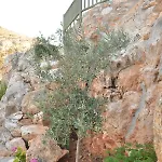 Inn Delfinaki Boutique ,naxos Lionas